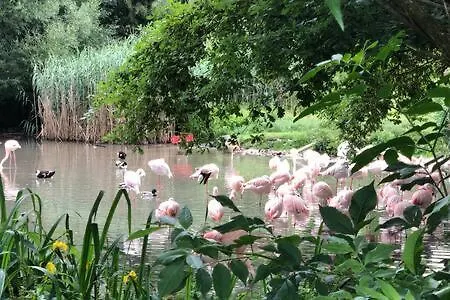 Stadtnähe Und Doch Mitten In Der *